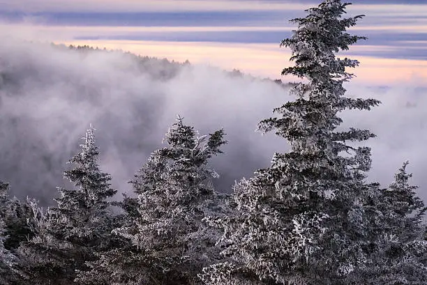 Photo of Appalachian Mountains in the Winter 7
