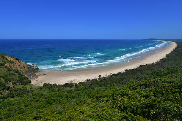istock High angle view of Tallow Beach, Byron Bay 465531002