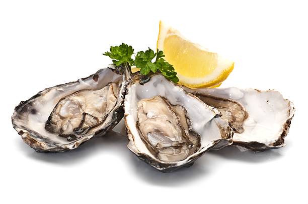 Oysters Fresh Oysters oyster photos stock pictures, royalty-free photos & images