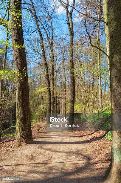 Die Ersten Knospen Der Frühling Stockfoto und mehr Bilder von Baum - Baum, Frühling, Knospend