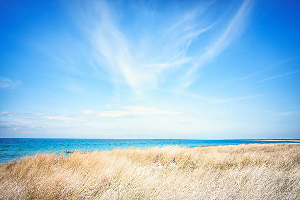 istock Sunny day at the Ocean 465532762