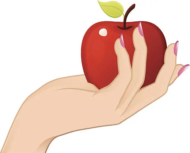Vector illustration of Hand Holding Apple