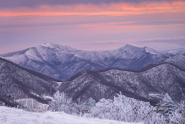 winter sonnenuntergang in staatsforstpark roan mountain - mountain mountain range north carolina blue stock-fotos und bilder