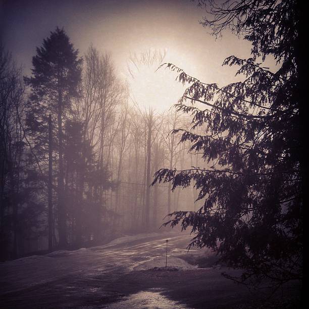 This is a color, mobilestock photograph of the sun peering over the trees on a foggy winter day in the Catskill Mountain region of upstate New York.