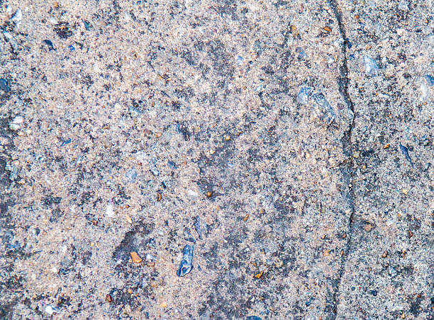 istock the concrete floor for the background 465536032
