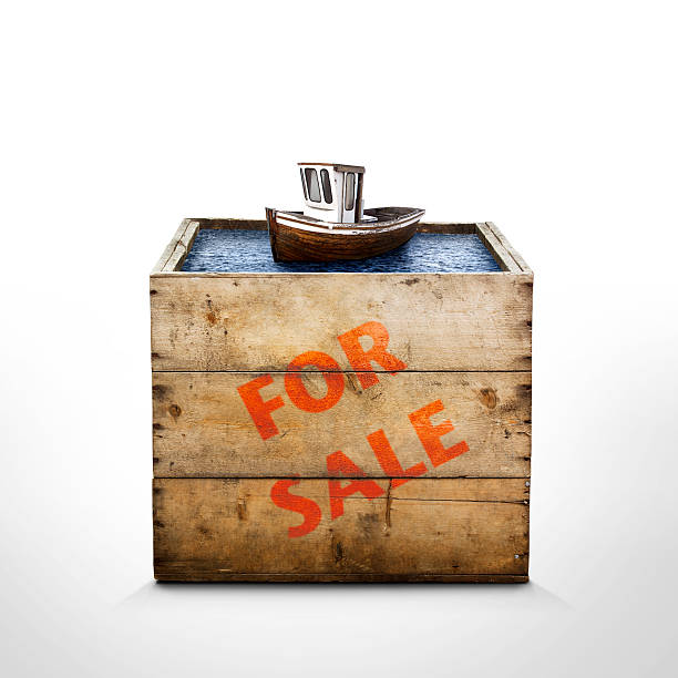 istock Boat in a Box For Sale 465537287