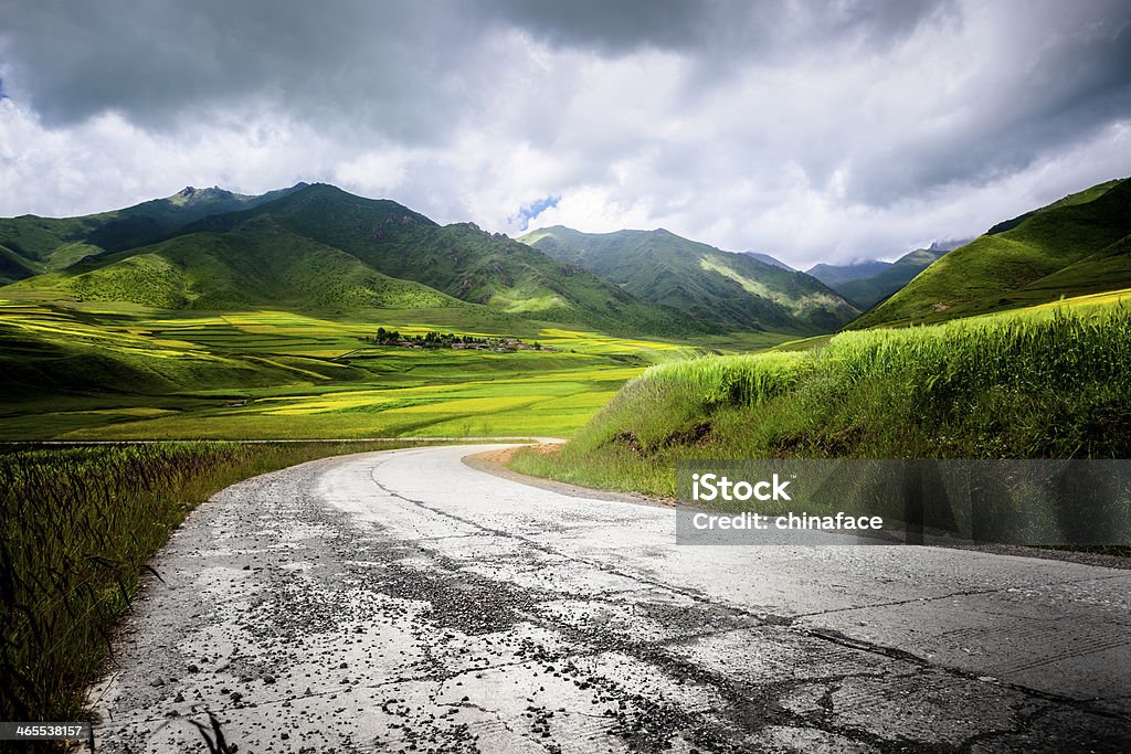 country road, pase el Canola field - Foto de stock de Agricultura libre de derechos