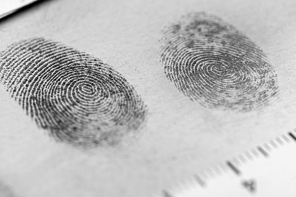 Fingerprint View of a fingerprint revealed by printing. military attack photos stock pictures, royalty-free photos & images