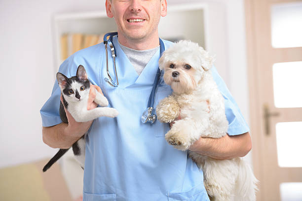 istock Happy vet with dog and cat 465539033