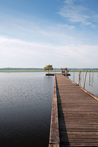 Wooden pier on Soustons lake, France stock photo