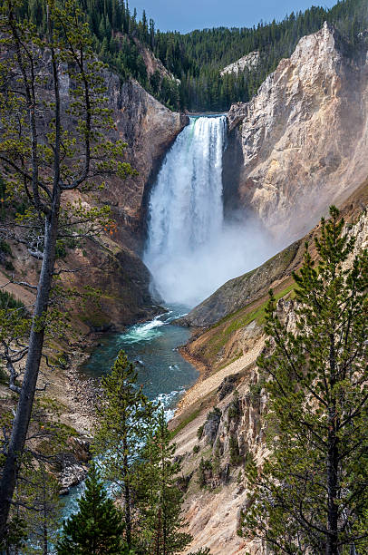 cataratas de lower yellowstone - lower falls imagens e fotografias de stock