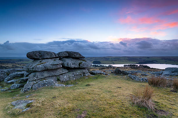 tregarrick tor - bodmin moor zdjęcia i obrazy z banku zdjęć