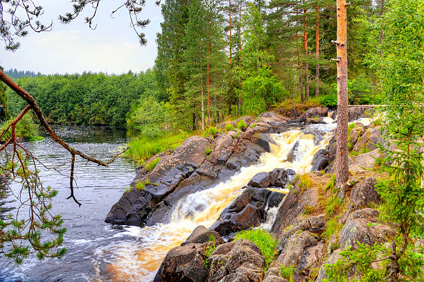 Little waterfall on the forest small river in Karelia stock photo