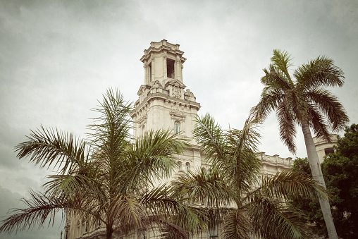 One of the buildings in Old Havana behind the palm trees
