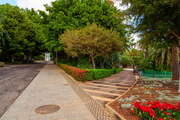 istock santa cruz street 465545418