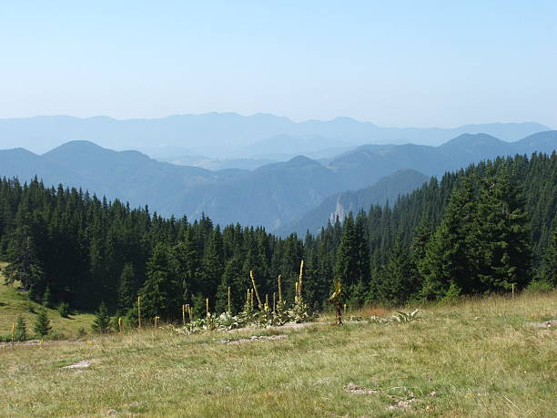 View of Rhodope Mountain, Bulgaria. Large part of all the massif of the mountain with several ranges.