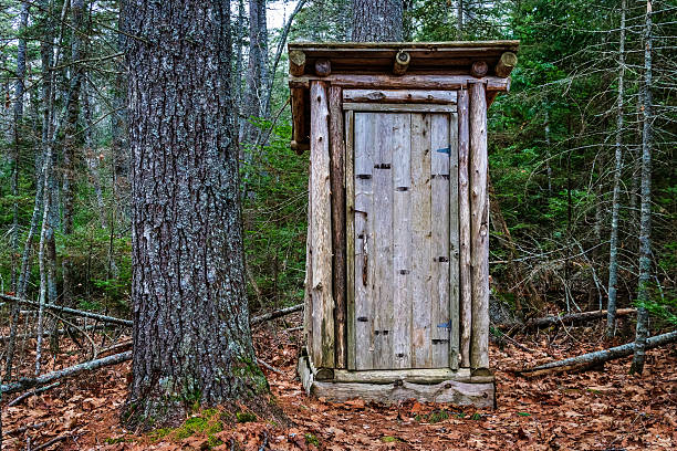 rustic outhouse in dark, coniferous Maine forest