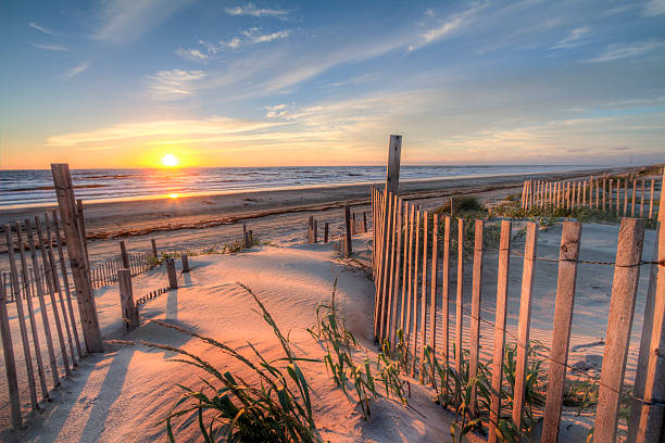 outer banks spiaggia all'alba da dune di sabbia - north carolina foto e immagini stock