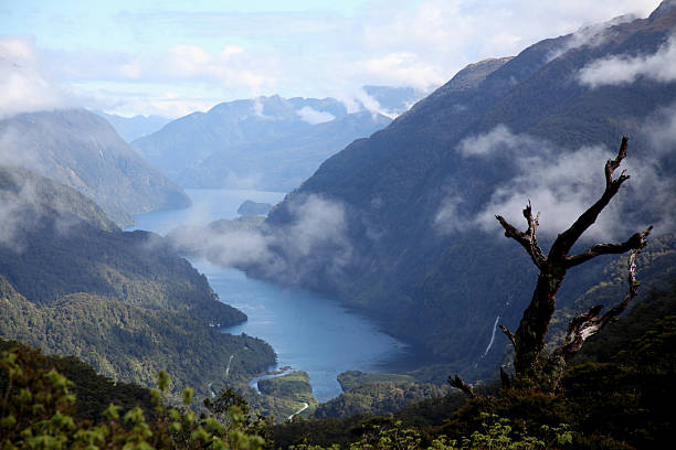 istock Doubtful Sound, New Zealand 465548235