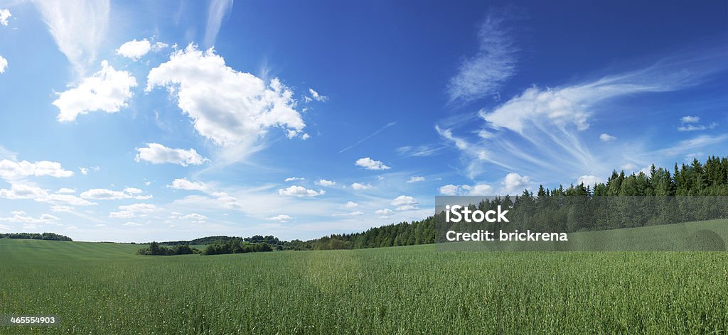 Панорамный пейзаж с зеленого поля и голубое небо - Стоковые фото Без людей роялти-фри