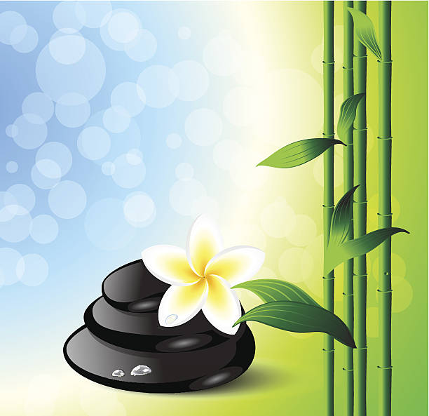 자연 배경기술 - relaxation bali spa treatment frangipani stock illustrations