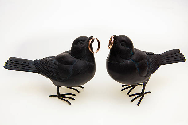 istock Two black birds are holding gold wedding rings 465555609
