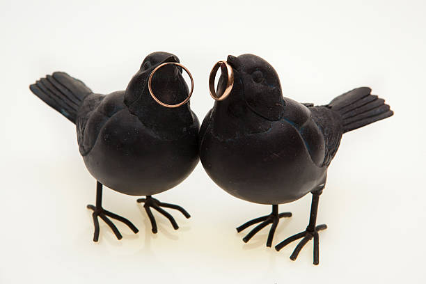 istock Two black birds are holding gold wedding rings 465555679