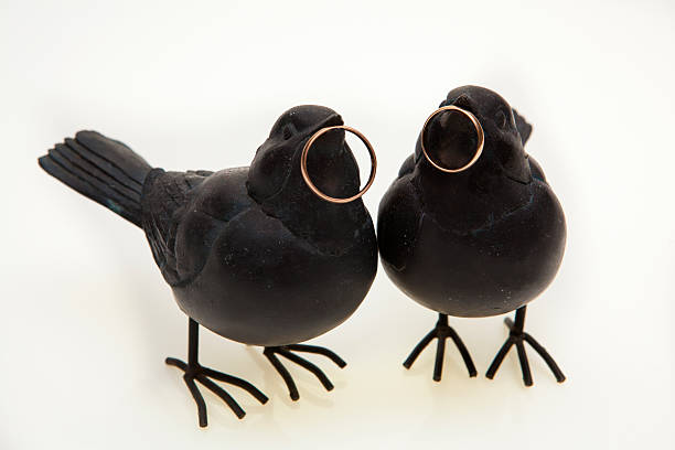 istock Two black birds are holding gold wedding rings 465555683