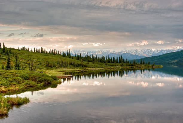 Mountain lake in Denali National Park in early morning light.