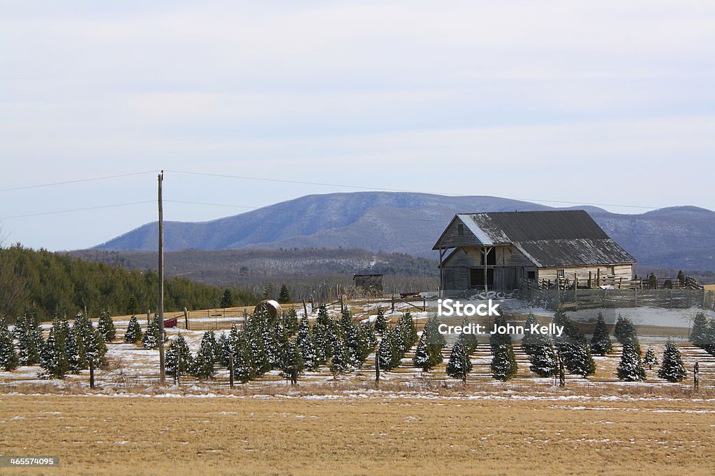 Tradizionale vecchio fienile in inverno - Foto stock royalty-free di Catena montuosa del Blue Ridge