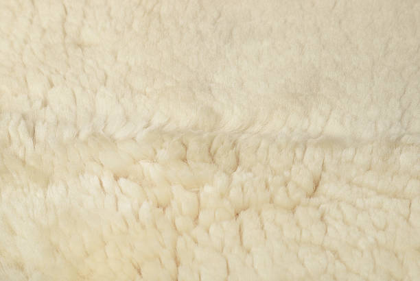 fundo de pele de ovelha branca - lamb softness fur wool - fotografias e filmes do acervo