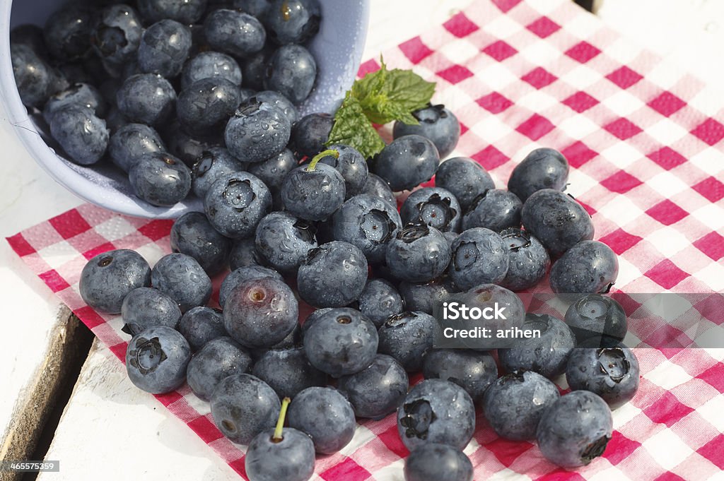 Bio-Blaubeeren - Lizenzfrei Amerikanische Heidelbeere Stock-Foto