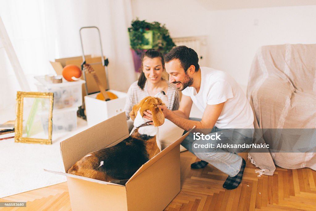 Our new beginning Happy family enjoying in their new apartment during the moving in process 20-29 Years Stock Photo