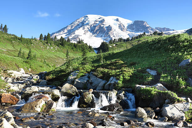 istock Mt Rainier national Park in Summer 465584987