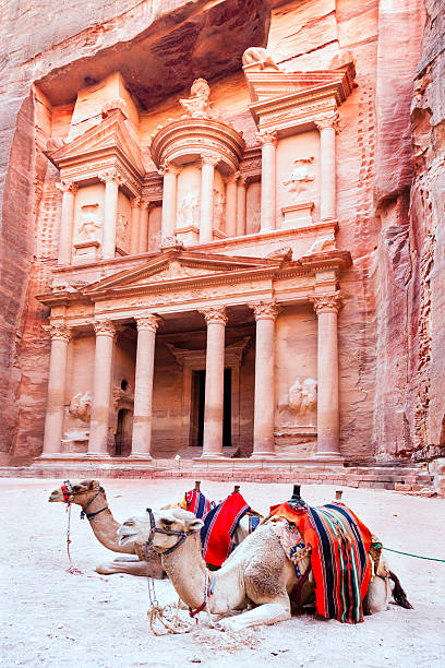 istock Camels of Petra 465586515
