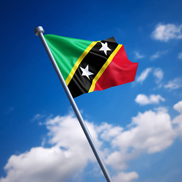 Flag of the Federation of Saint Kitts and Nevis. Shallow depth of field and motion blur 3d render.