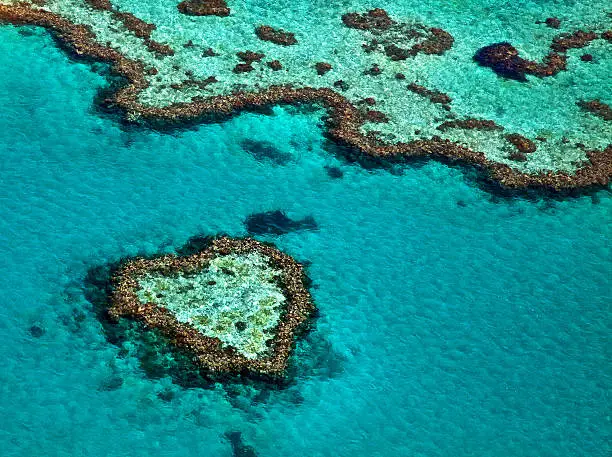 Heart reef in the Whitsundays is part of the Great Barrier Reef in Queensland Australia.