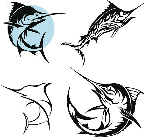 ilustrações de stock, clip art, desenhos animados e ícones de marlin conjunto - marlin sailfish nature saltwater fish