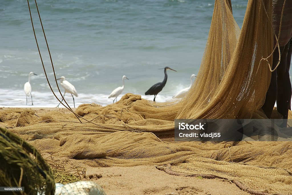 Red de pesca en el mar. Kovalam sur, Kerala, India - Foto de stock de Aire libre libre de derechos