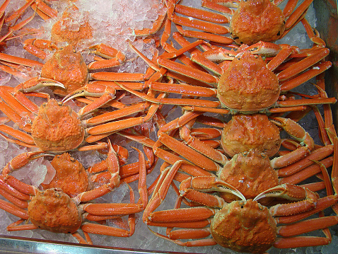 Several king crabs (Paralithodes kamchatikus) on ice