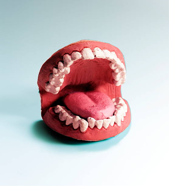 istock Set of Fake Teeth 465601826