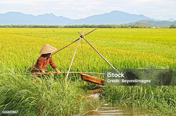 未確認の女性に円錐帽子 Irrigating 稲田 - 1人のストックフォトや画像を多数ご用意 - 1人, 30代の女性, 30代の女性一人