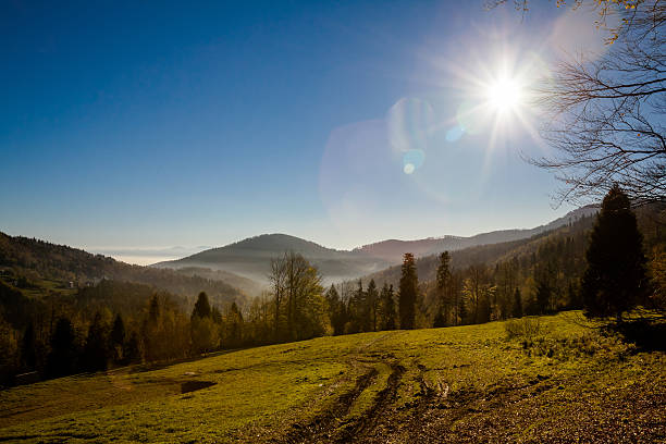 istock Beautiful autumn mountain woods landscape 465605290