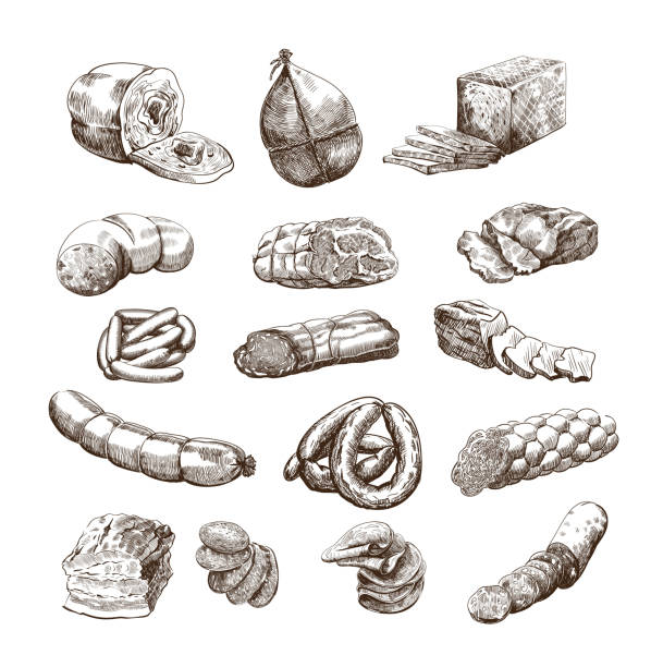 meat products set of hand drawn vector sketches on a white background