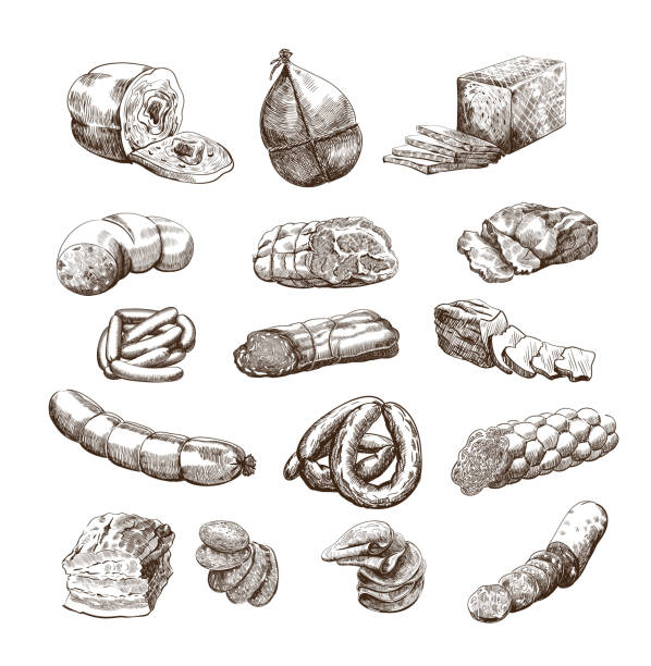 meat products meat products set of hand drawn vector sketches on a white background meat drawings stock illustrations