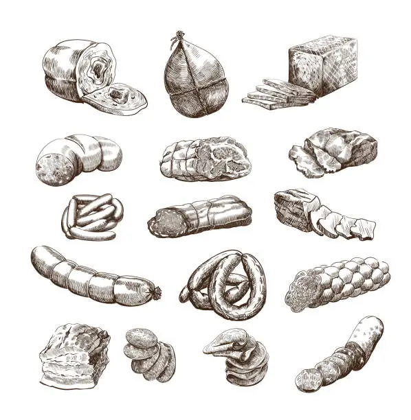 Vector illustration of meat products