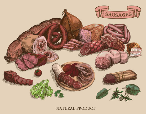 fleisch-produkte - salami sausage portion decoration stock-grafiken, -clipart, -cartoons und -symbole