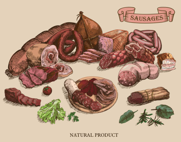 produkty mięsne - salami sausage portion decoration stock illustrations