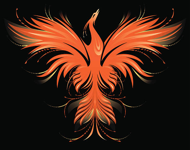 Phoenix vector art illustration