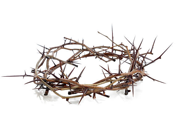istock Crown of thorns on a white background 465611605